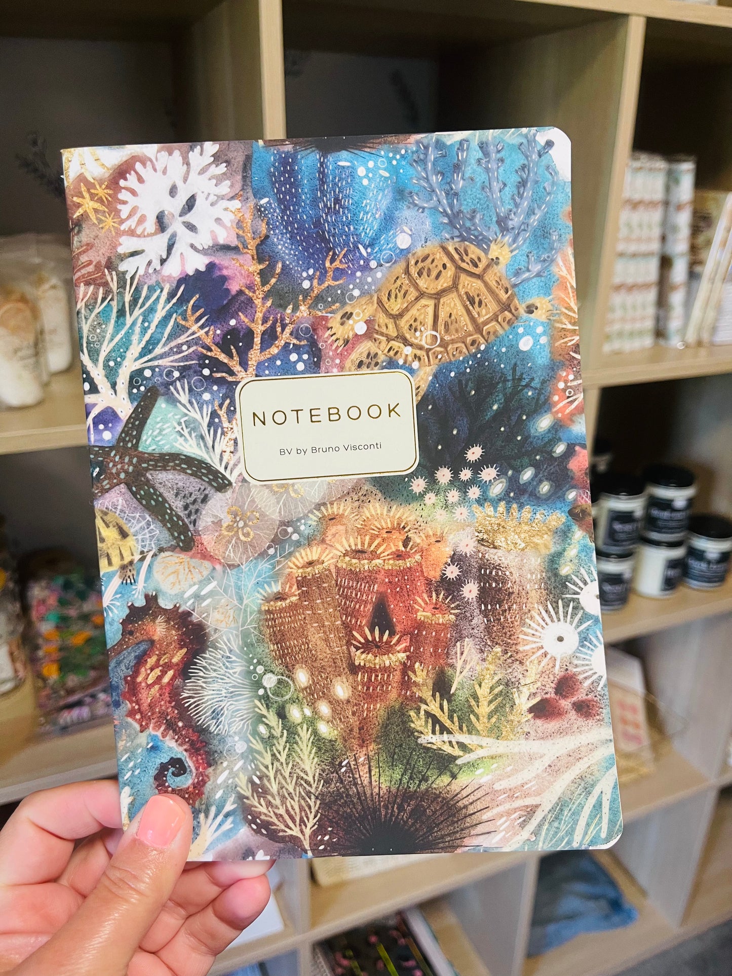 Journal Softcover - Sea Creatures